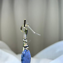 Load image into Gallery viewer, 14K Gold Filled Black Jade Earrings 糯种乌鸡翡翠14K注金耳钩