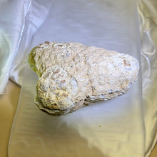 Load image into Gallery viewer, Paired Clear Quartz Geode 成对水晶晶洞聚宝盆