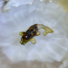 Load image into Gallery viewer, Tiger's Eye Resin Carp 虎眼石滴胶锦鲤