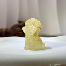 Load image into Gallery viewer, Moonstone Resin Poodle Dog 冰长石月光石滴胶贵宾犬
