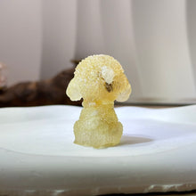 Load image into Gallery viewer, Moonstone Resin Poodle Dog 冰长石月光石滴胶贵宾犬
