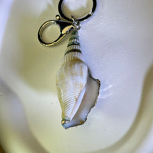 Load image into Gallery viewer, Sea Conch Shell Ornament Key Ring Bag Charm 海螺贝壳挂饰钥匙扣包挂
