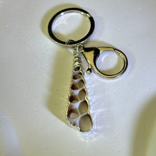 Load image into Gallery viewer, Sea Conch Shell Slice Ornament Key Ring Bag Charm 海螺壳挂饰钥匙扣包挂
