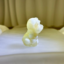 Load image into Gallery viewer, Tridacna Shell Resin Schnauzer Dog 砗磲滴胶雪纳瑞犬
