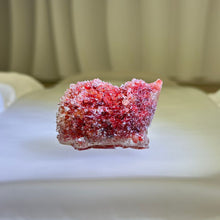 Load image into Gallery viewer, Red Coral Resin Hedgehog 红珊瑚滴胶刺猬
