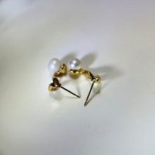 Load image into Gallery viewer, 14K Gold Filled White Freshwater Pearl Earrings 白色淡水珍珠14K注金耳钉
