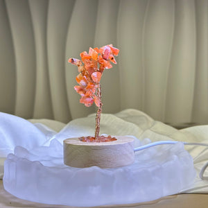 Carnelian Tree of Life USB Cable LED Light 红玛瑙生命之树USB接口LED灯