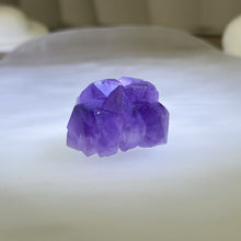 Load image into Gallery viewer, Amethyst Cluster 紫水晶晶花
