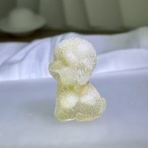 Tridacna Shell Resin Poodle Figurine 砗磲滴胶泰迪犬摆件