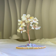 Load image into Gallery viewer, Citrine Tree of Life Fortune Tree 黄水晶生命之树招财树
