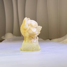 Load image into Gallery viewer, Giant Clam Shell Resin Puppy Figurine 砗磲滴胶小狗摆件
